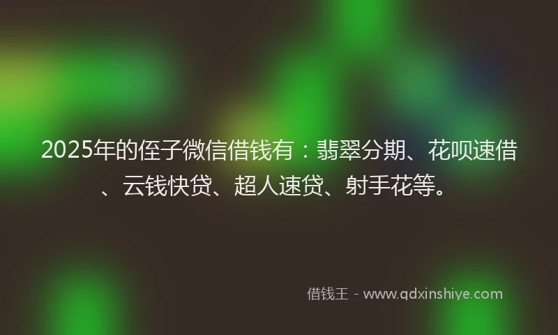 2025年的侄子微信借钱有：翡翠分期、花呗速借、云钱快贷、超人速贷、射手花等。