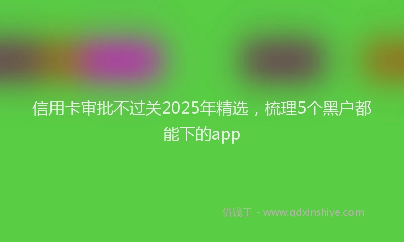 信用卡审批不过关2025年精选，梳理5个黑户都能下的app