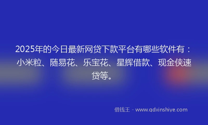 2025年的今日最新网贷下款平台有哪些软件有：小米粒、随易花、乐宝花、星辉借款、现金侠速贷等。