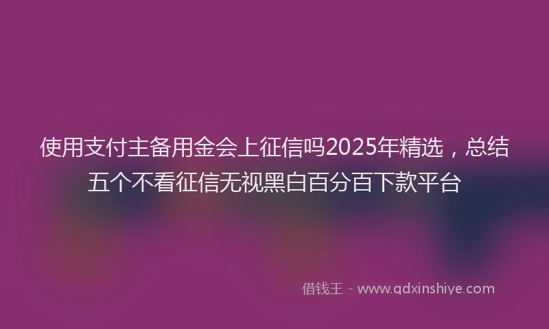 使用支付主备用金会上征信吗2025年精选，总结五个不看征信无视黑白百分百下款平台