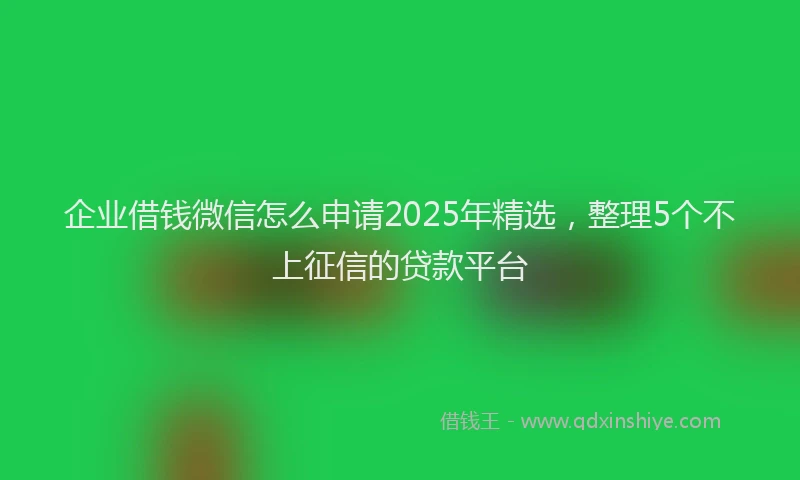 企业借钱微信怎么申请2025年精选，整理5个不上征信的贷款平台