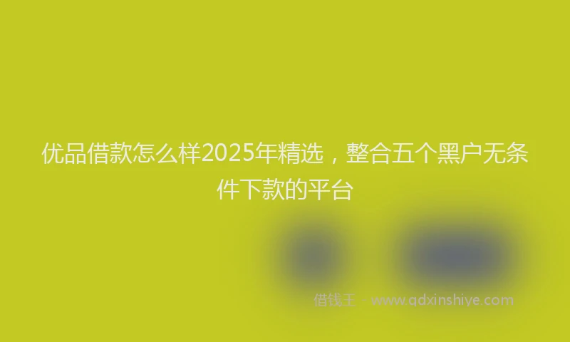 优品借款怎么样2025年精选，整合五个黑户无条件下款的平台