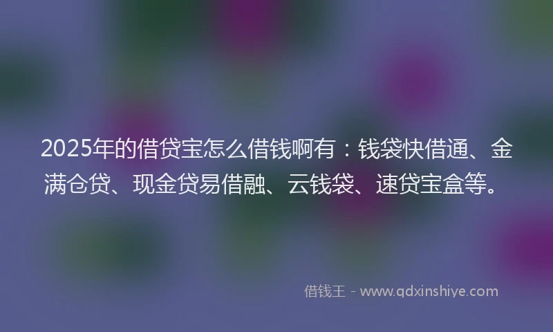 2025年的借贷宝怎么借钱啊有：钱袋快借通、金满仓贷、现金贷易借融、云钱袋、速贷宝盒等。