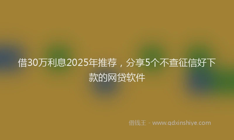 借30万利息2025年推荐，分享5个不查征信好下款的网贷软件