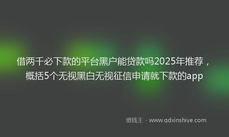 借两千必下款的平台黑户能贷款吗2025年推荐，概括5个无视黑白无视征信申请就下款的app