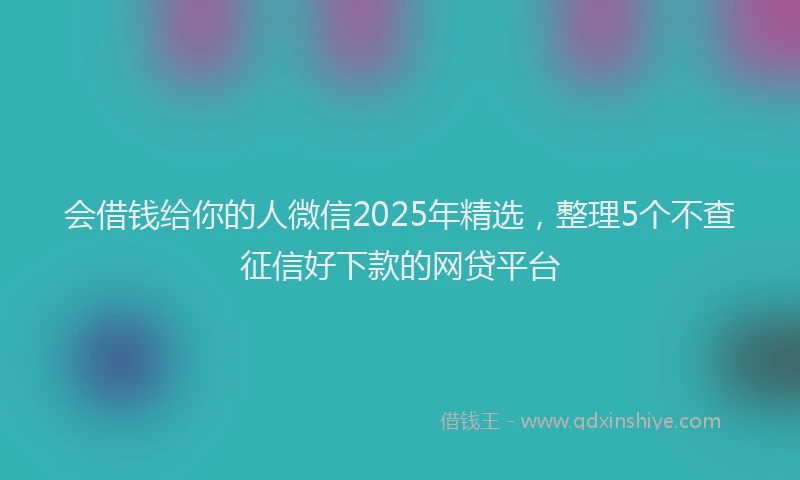 会借钱给你的人微信2025年精选，整理5个不查征信好下款的网贷平台
