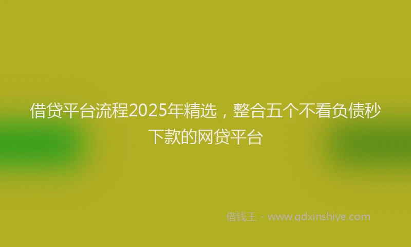 借贷平台流程2025年精选，整合五个不看负债秒下款的网贷平台