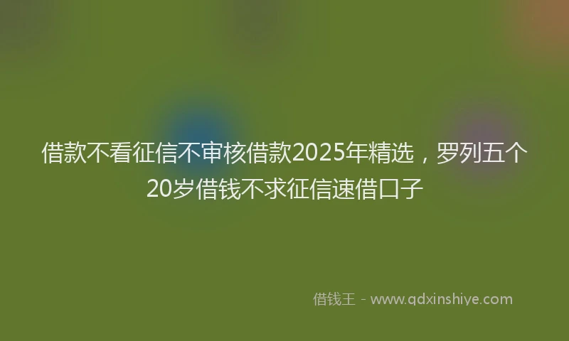 借款不看征信不审核借款2025年精选，罗列五个20岁借钱不求征信速借口子