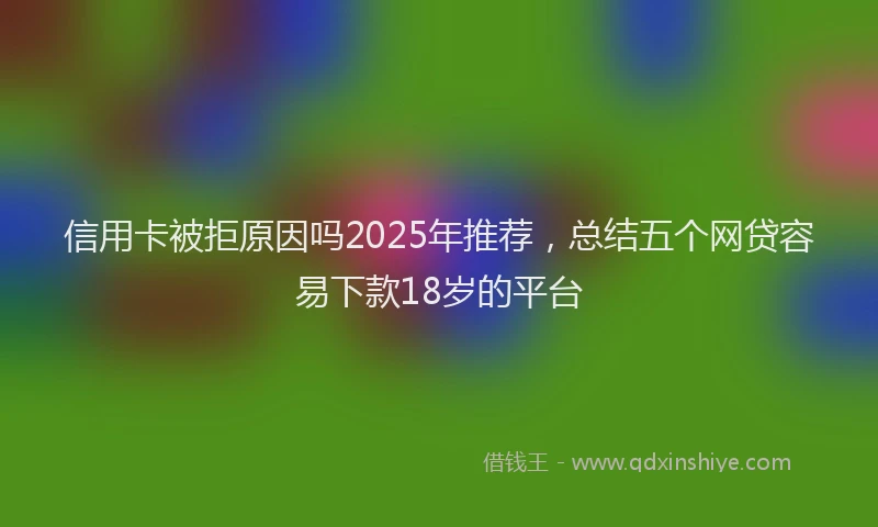 信用卡被拒原因吗2025年推荐，总结五个网贷容易下款18岁的平台