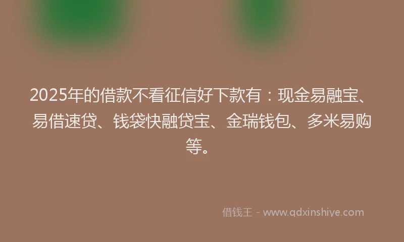 2025年的借款不看征信好下款有：现金易融宝、易借速贷、钱袋快融贷宝、金瑞钱包、多米易购等。