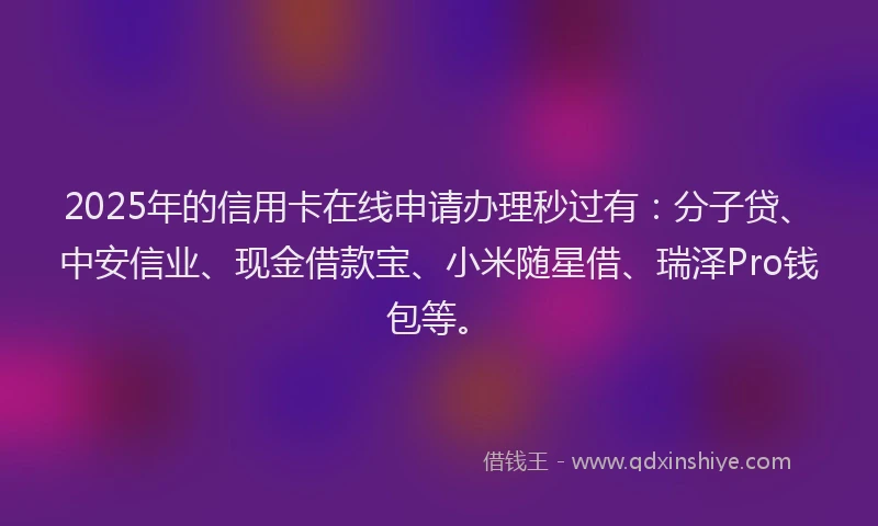 2025年的信用卡在线申请办理秒过有：分子贷、中安信业、现金借款宝、小米随星借、瑞泽Pro钱包等。