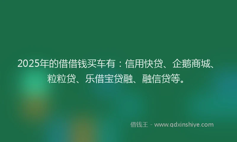 2025年的借借钱买车有：信用快贷、企鹅商城、粒粒贷、乐借宝贷融、融信贷等。