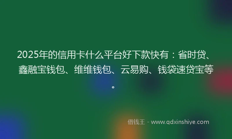 2025年的信用卡什么平台好下款快有：省时贷、鑫融宝钱包、维维钱包、云易购、钱袋速贷宝等。