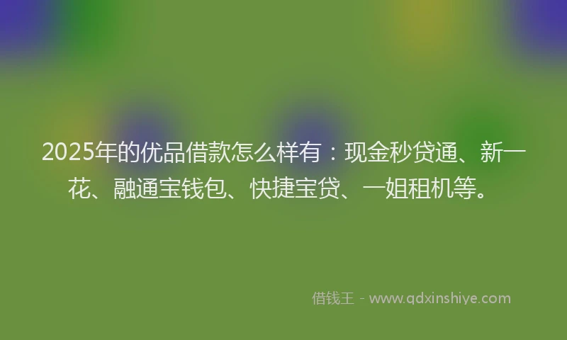 2025年的优品借款怎么样有：现金秒贷通、新一花、融通宝钱包、快捷宝贷、一姐租机等。