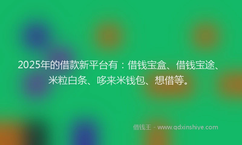 2025年的借款新平台有：借钱宝盒、借钱宝途、米粒白条、哆来米钱包、想借等。