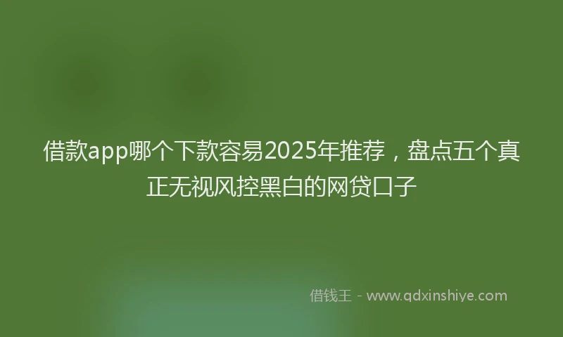 借款app哪个下款容易2025年推荐，盘点五个真正无视风控黑白的网贷口子