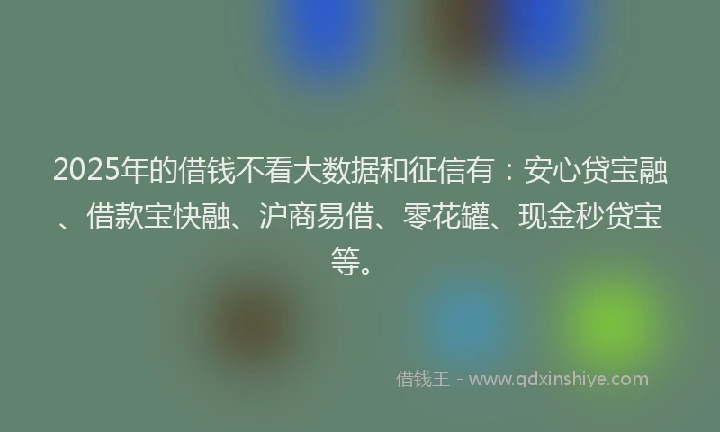 2025年的借钱不看大数据和征信有：安心贷宝融、借款宝快融、沪商易借、零花罐、现金秒贷宝等。