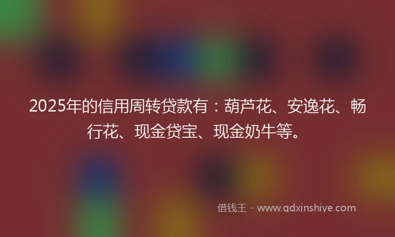 2025年的信用周转贷款有：葫芦花、安逸花、畅行花、现金贷宝、现金奶牛等。