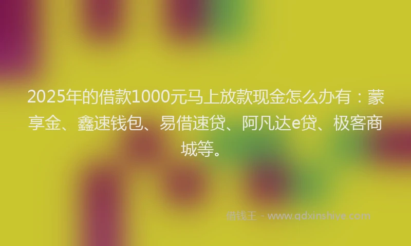 2025年的借款1000元马上放款现金怎么办有：蒙享金、鑫速钱包、易借速贷、阿凡达e贷、极客商城等。