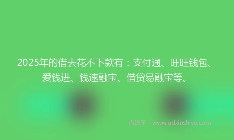 2025年的借去花不下款有：支付通、旺旺钱包、爱钱进、钱速融宝、借贷易融宝等。