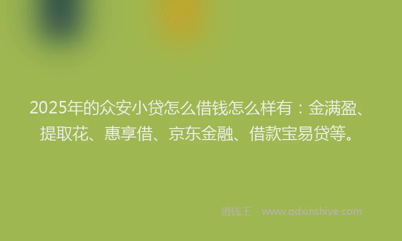 2025年的众安小贷怎么借钱怎么样有：金满盈、提取花、惠享借、京东金融、借款宝易贷等。