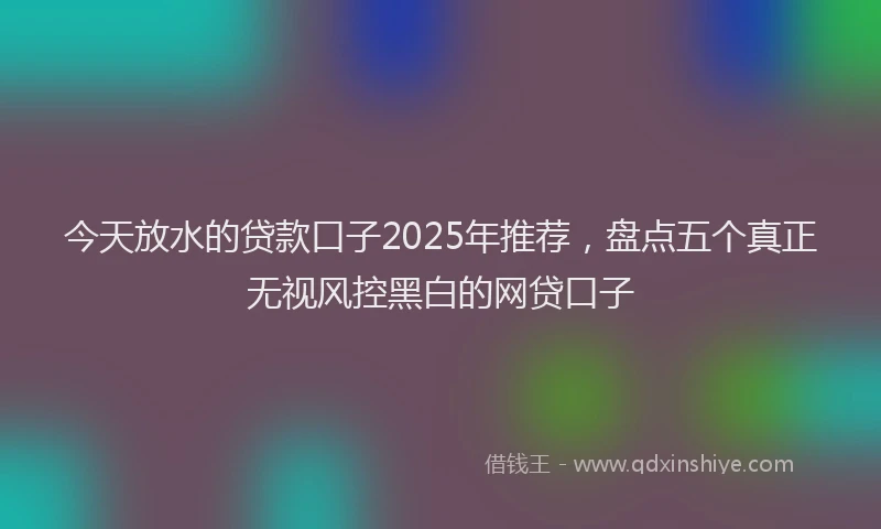 今天放水的贷款口子2025年推荐，盘点五个真正无视风控黑白的网贷口子