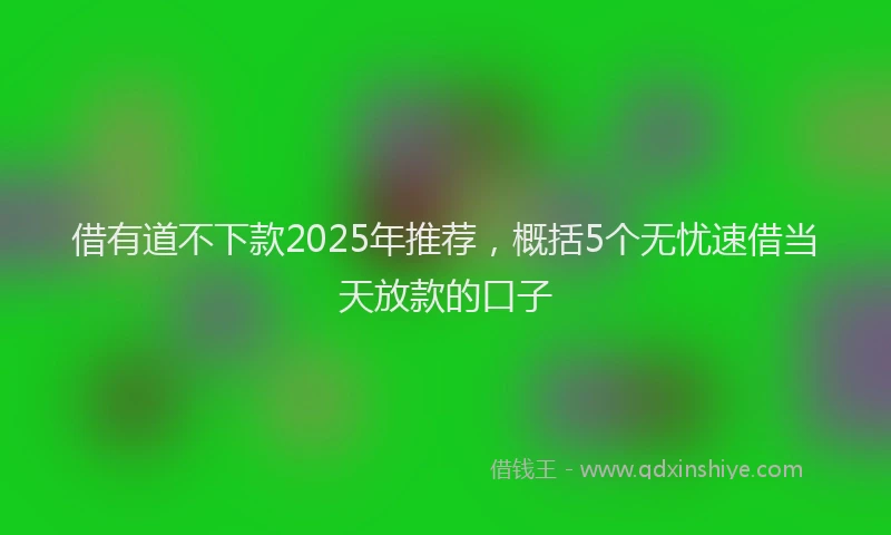 借有道不下款2025年推荐，概括5个无忧速借当天放款的口子