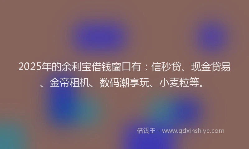 2025年的余利宝借钱窗口有：信秒贷、现金贷易、金帝租机、数码潮享玩、小麦粒等。