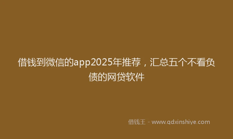 借钱到微信的app2025年推荐，汇总五个不看负债的网贷软件