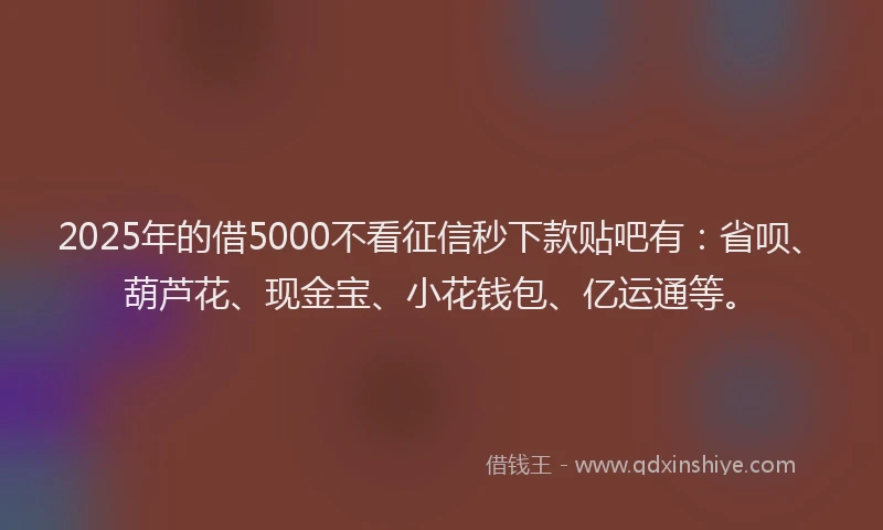 2025年的借5000不看征信秒下款贴吧有：省呗、葫芦花、现金宝、小花钱包、亿运通等。