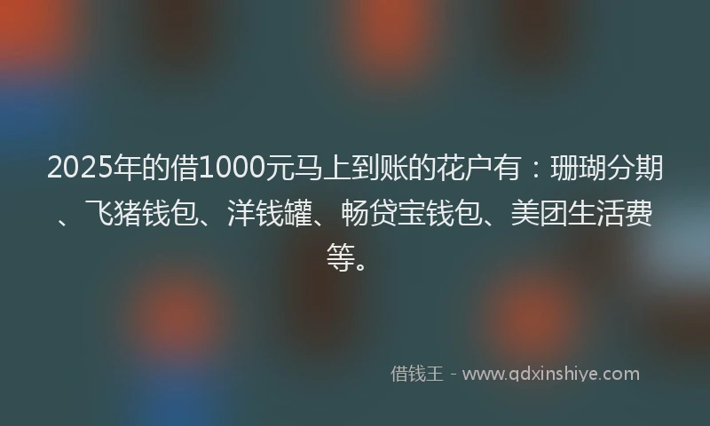 2025年的借1000元马上到账的花户有：珊瑚分期、飞猪钱包、洋钱罐、畅贷宝钱包、美团生活费等。
