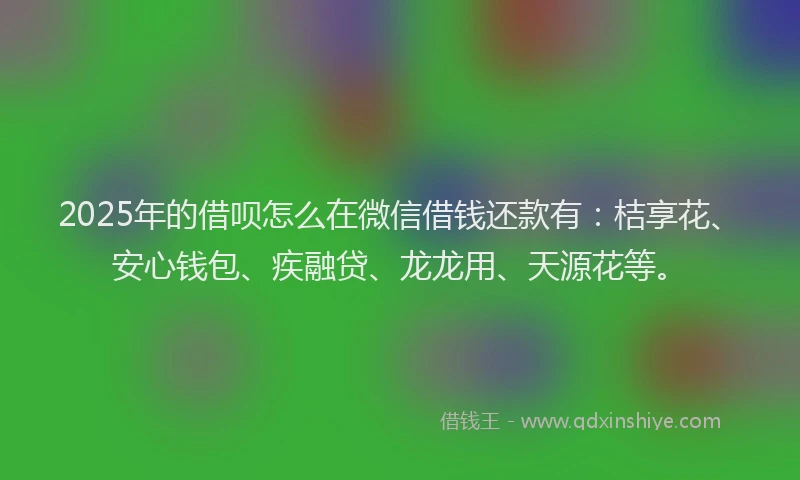2025年的借呗怎么在微信借钱还款有：桔享花、安心钱包、疾融贷、龙龙用、天源花等。