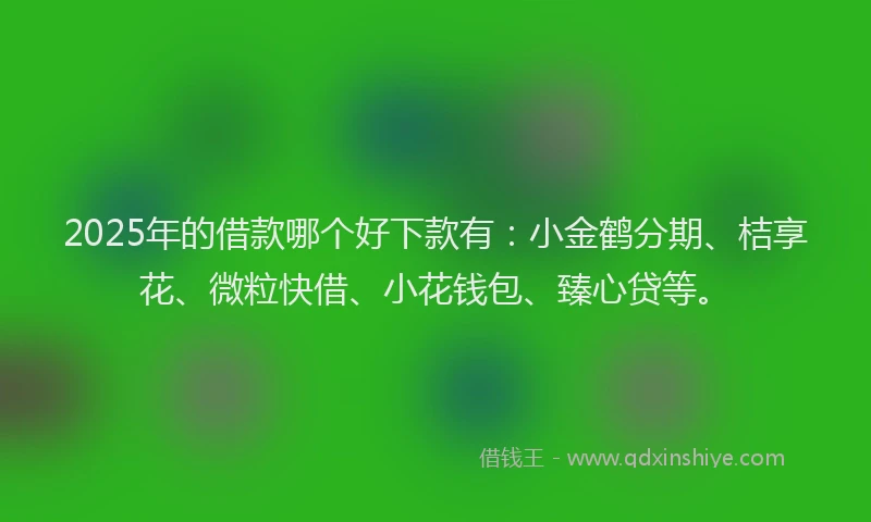 2025年的借款哪个好下款有：小金鹤分期、桔享花、微粒快借、小花钱包、臻心贷等。