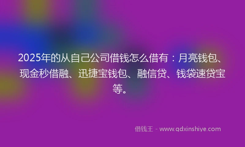 2025年的从自己公司借钱怎么借有：月亮钱包、现金秒借融、迅捷宝钱包、融信贷、钱袋速贷宝等。