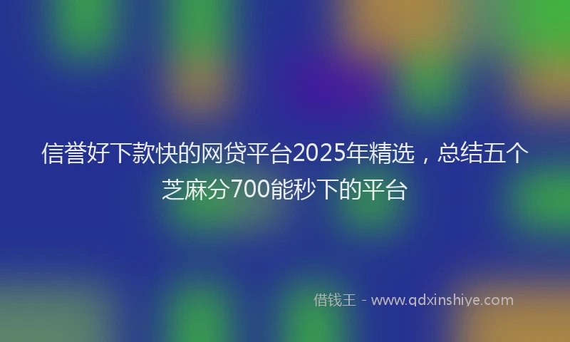 信誉好下款快的网贷平台2025年精选，总结五个芝麻分700能秒下的平台