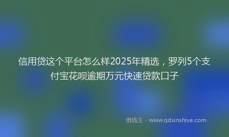 信用贷这个平台怎么样2025年精选，罗列5个支付宝花呗逾期万元快速贷款口子