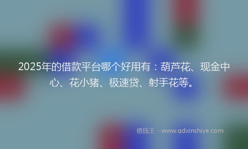 2025年的借款平台哪个好用有：葫芦花、现金中心、花小猪、极速贷、射手花等。