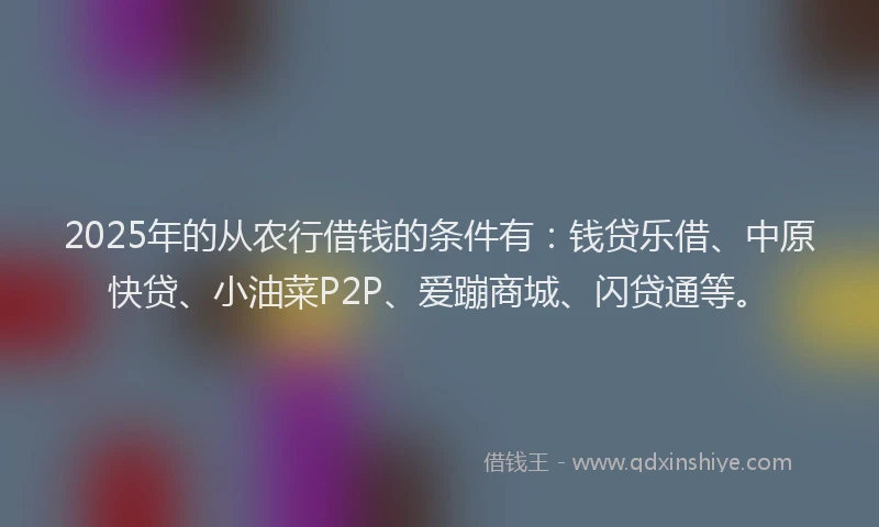 2025年的从农行借钱的条件有：钱贷乐借、中原快贷、小油菜P2P、爱蹦商城、闪贷通等。