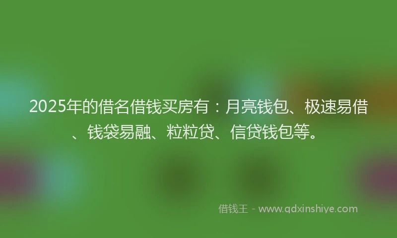 2025年的借名借钱买房有：月亮钱包、极速易借、钱袋易融、粒粒贷、信贷钱包等。