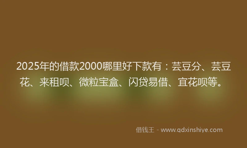 2025年的借款2000哪里好下款有：芸豆分、芸豆花、来租呗、微粒宝盒、闪贷易借、宜花呗等。