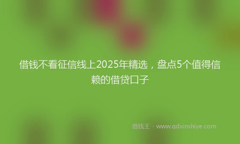借钱不看征信线上2025年精选，盘点5个值得信赖的借贷口子