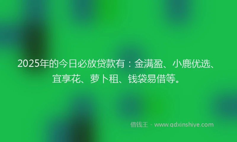 2025年的今日必放贷款有：金满盈、小鹿优选、宜享花、萝卜租、钱袋易借等。
