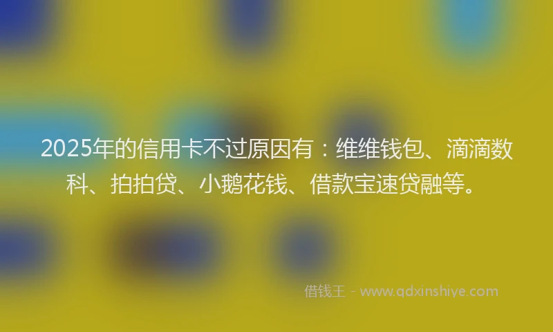 2025年的信用卡不过原因有：维维钱包、滴滴数科、拍拍贷、小鹅花钱、借款宝速贷融等。