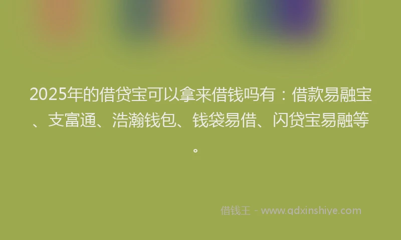 2025年的借贷宝可以拿来借钱吗有：借款易融宝、支富通、浩瀚钱包、钱袋易借、闪贷宝易融等。