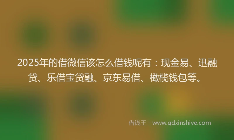 2025年的借微信该怎么借钱呢有：现金易、迅融贷、乐借宝贷融、京东易借、橄榄钱包等。