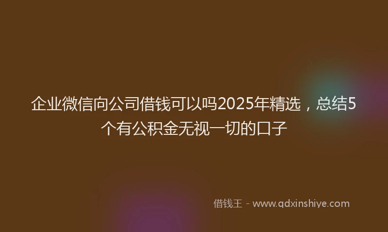 企业微信向公司借钱可以吗2025年精选，总结5个有公积金无视一切的口子