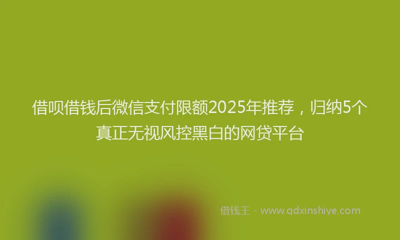 借呗借钱后微信支付限额2025年推荐，归纳5个真正无视风控黑白的网贷平台