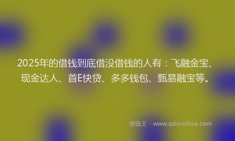 2025年的借钱到底借没借钱的人有：飞融金宝、现金达人、首E快贷、多多钱包、甄易融宝等。