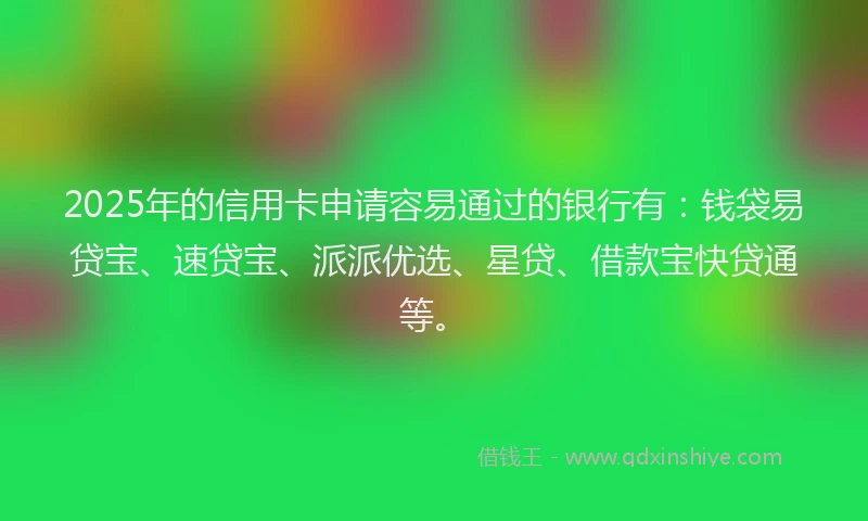 2025年的信用卡申请容易通过的银行有：钱袋易贷宝、速贷宝、派派优选、星贷、借款宝快贷通等。