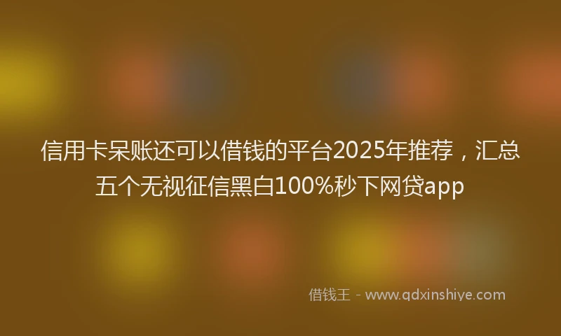 信用卡呆账还可以借钱的平台2025年推荐，汇总五个无视征信黑白100%秒下网贷app